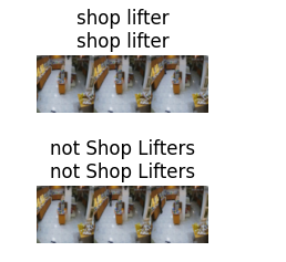 Shoplifting Detection using Computer Vision